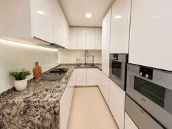 Wallich Residence  (D2), Condominium #560918541